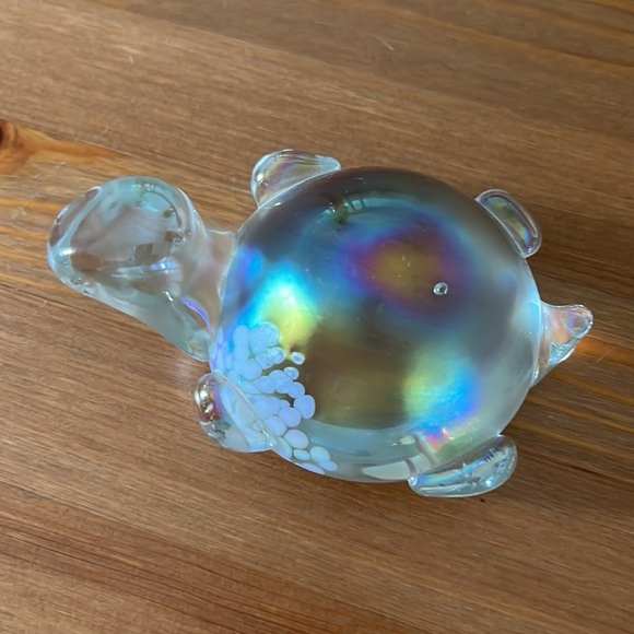 Turtle - Picture 2 of 5